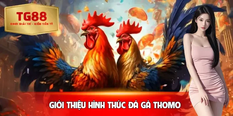 da-ga-thomo-gioi-thieu